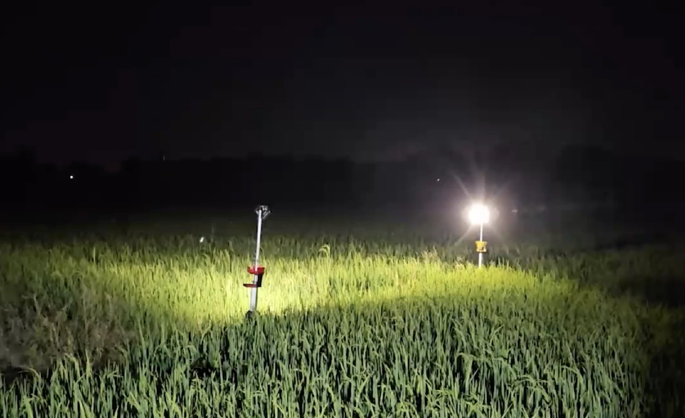 ผงะ! พบสาวใหญ่ถูกรัดคอด้วยเข็มขัดสีน้ำตาล ทิ้งร่างหมกนาข้าว