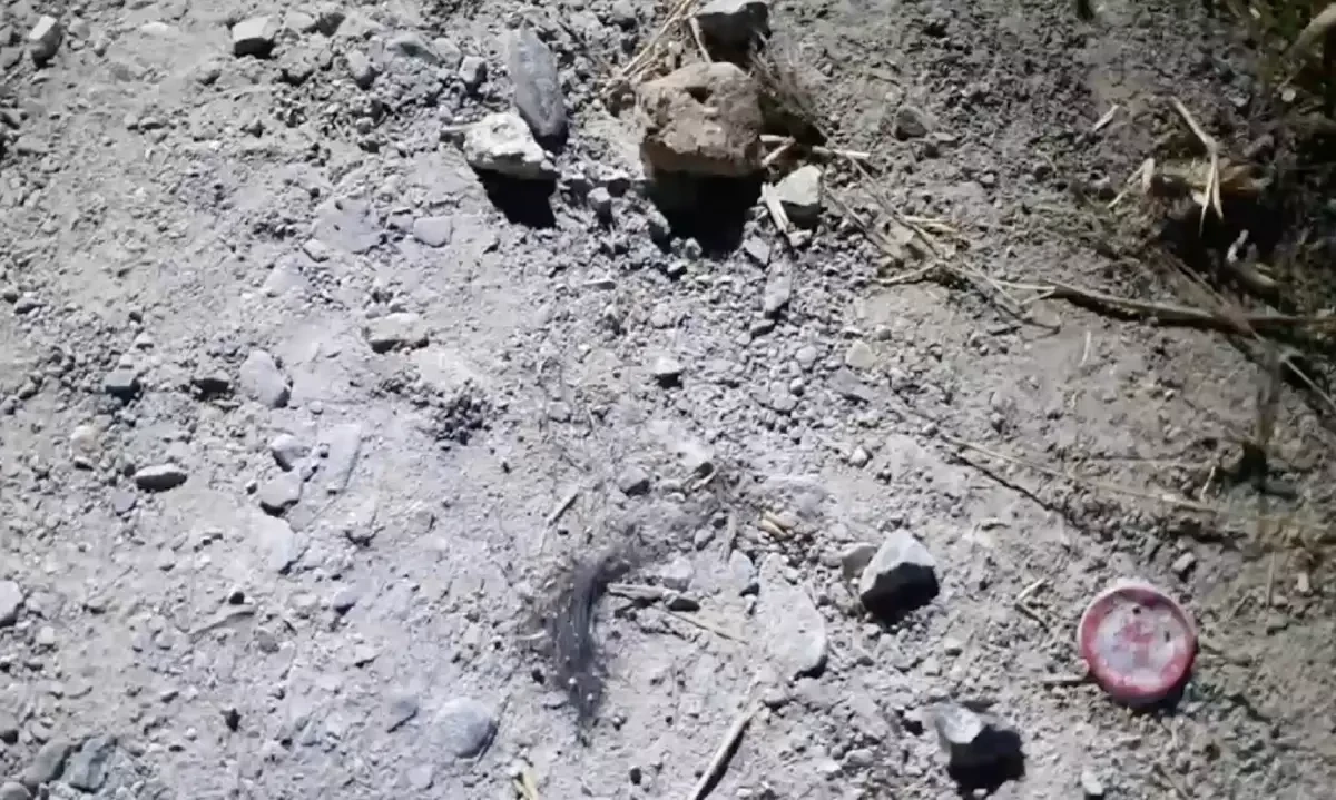 ฆาตกรรัดคอชิงทองปลอม "ป้าน้อย" ไม่ขอทำแผน ญาติคาใจปมนกต่อ