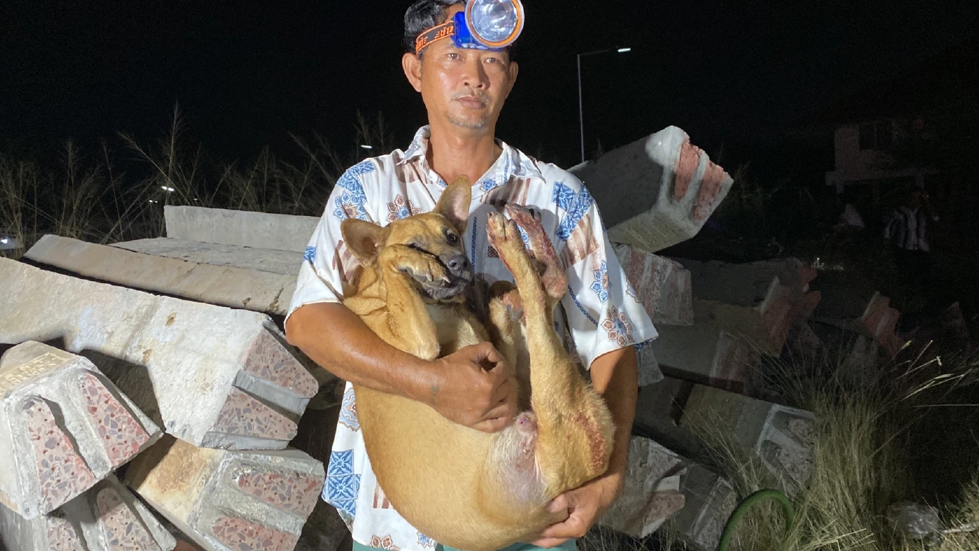 รุดช่วยน้องหมาขาติดหมอนรองรางรถไฟ ร้องครวญคราง ด้วยความเจ็บปวด