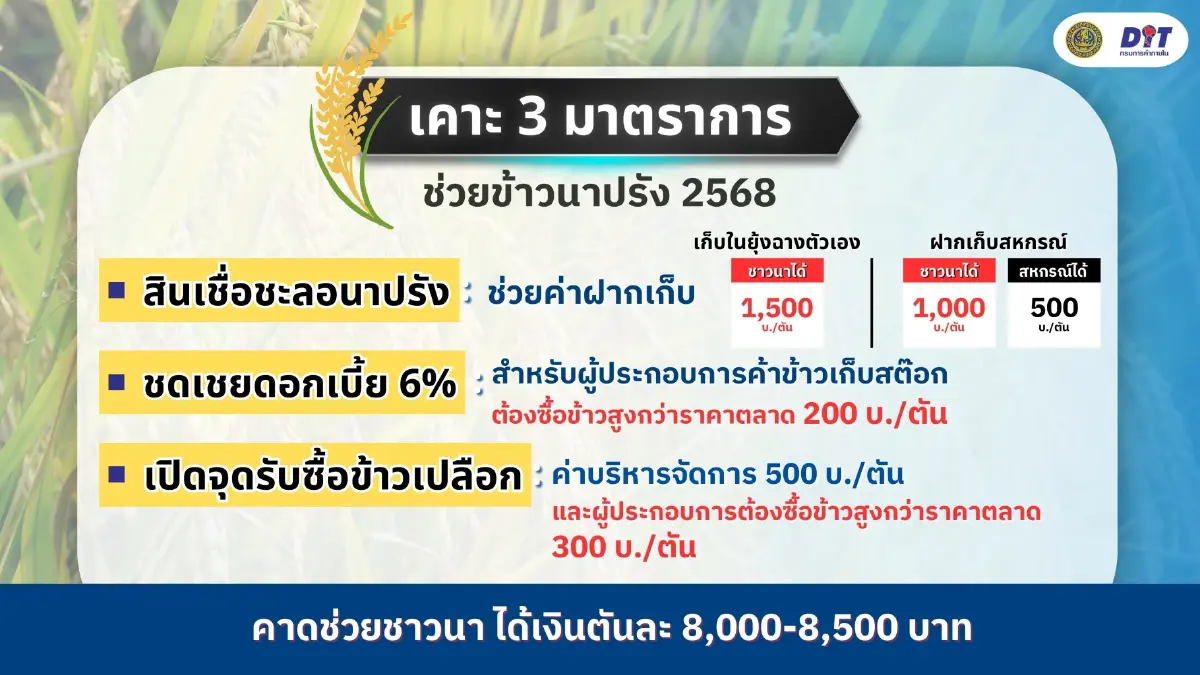 พาณิชย์ดัน 3 มาตรการเร่งด่วนอุ้มชาวนา ทำได้ทันทีดึงราคาตลาด
