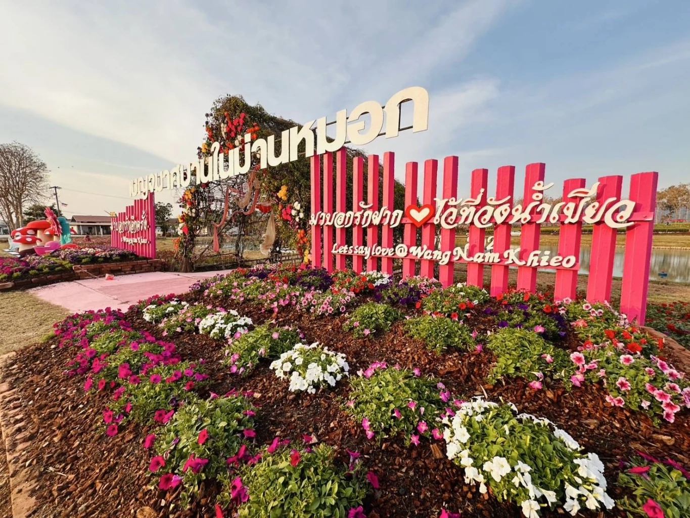 ส่องกิจกรรม "เทศกาลเบญจมาศบานในม่านหมอก ครั้งที่ 23" ที่โคราช มีอะไรบ้างไม่ควรพลาด