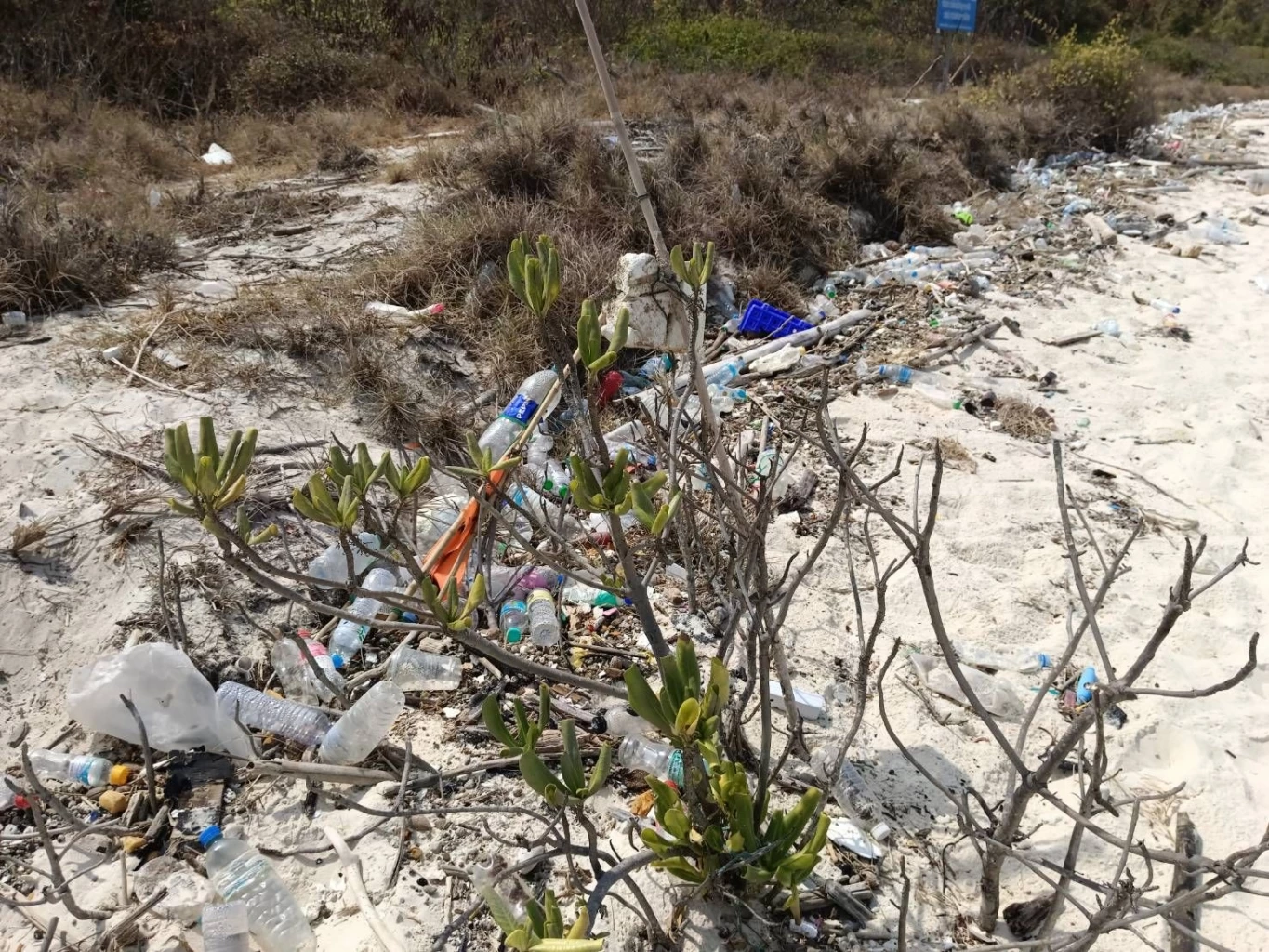 ทร.สั่งปิด "เกาะจวง" หลังพบ นทท.ลอบขึ้นเกาะ ทิ้งขยะ สิ่งปฏิกูลเกลื่อน