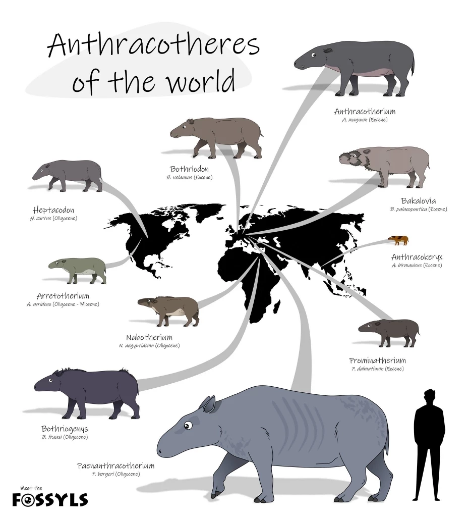 15 กุมภาพันธ์ วันฮิปโปโลก! ฉลองความน่ารักของยักษ์ใหญ่แห่งสายน้ำ