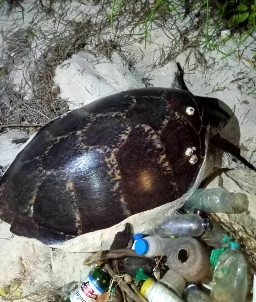 ทร.สั่งปิด "เกาะจวง" หลังพบ นทท.ลอบขึ้นเกาะ ทิ้งขยะ สิ่งปฏิกูลเกลื่อน