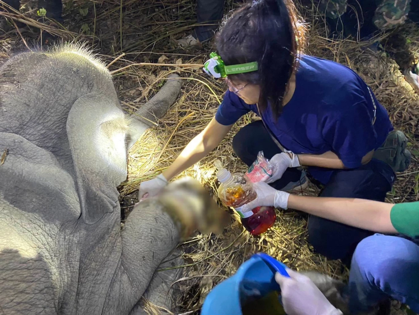 ภาพโดย : กรมอุทยานแห่งชาติ สัตว์ป่า และพันธุ์พืช