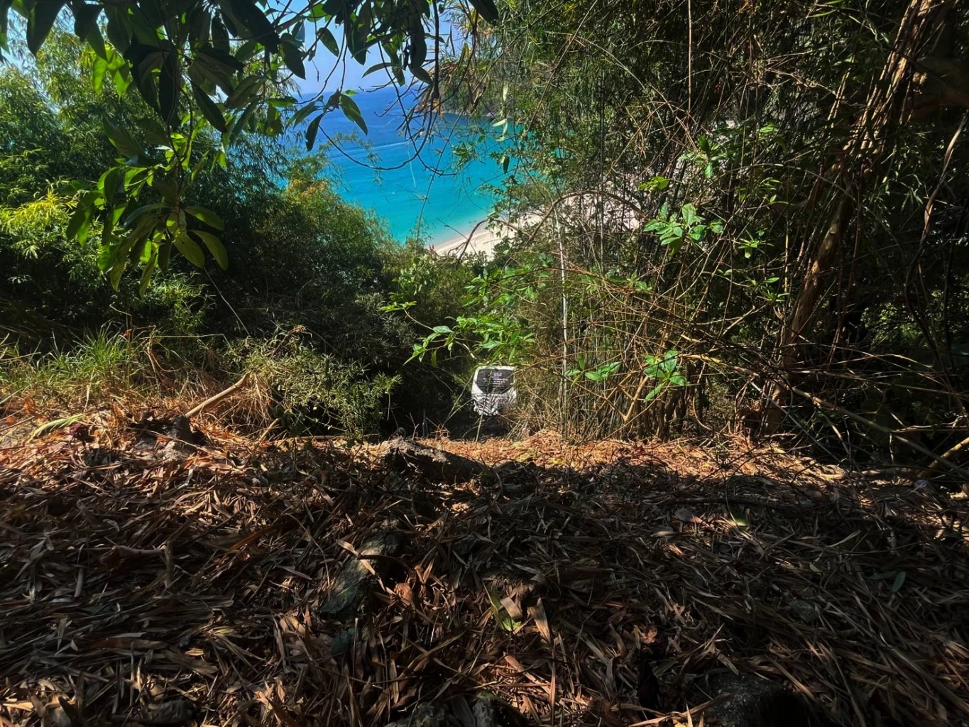 หวิดดับยกคัน! รถบัสนักท่องเที่ยวต่างชาติ เบรกแตก พุ่งตกเหว ลึก 15 เมตร