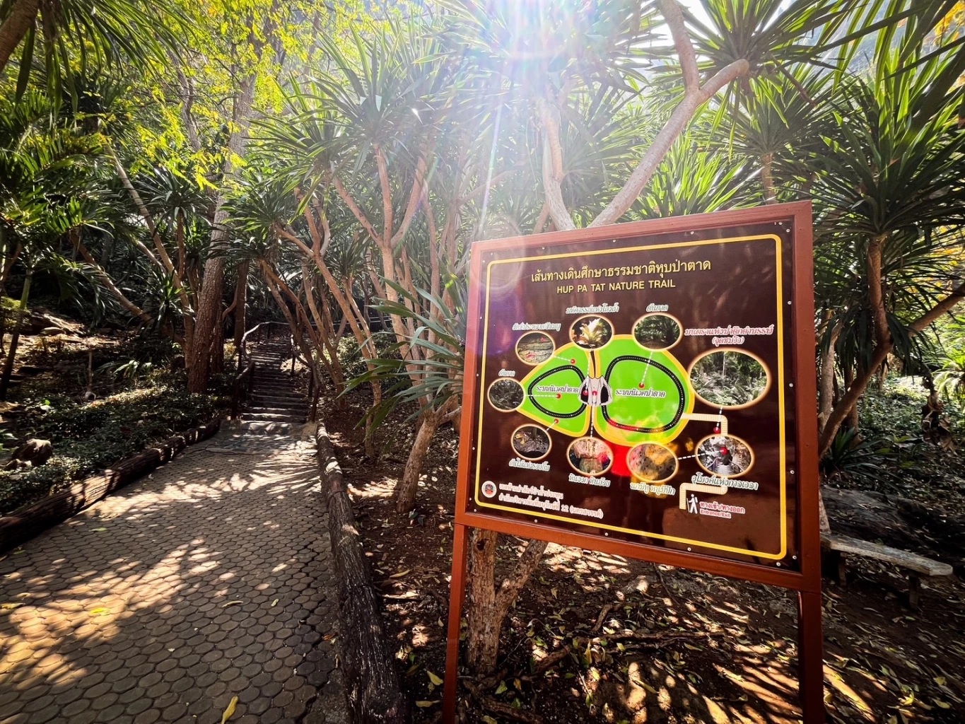 'หุบป่าตาด' Unseen อุทัยธานี ป่าดึกดำบรรพ์ เขาหินปูนอายุล้านปี