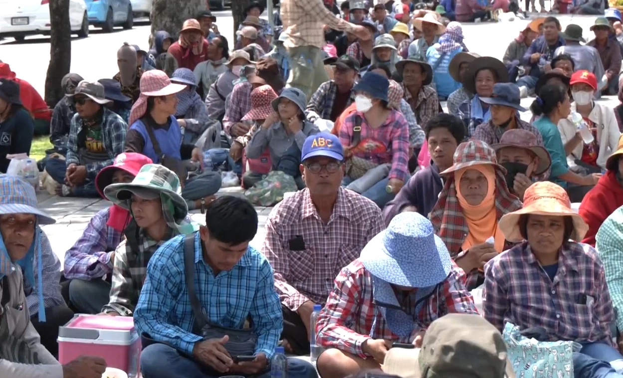 กลุ่มผู้ชุมนุมเกษตรกรชาวนา ปักหลักชุมนุมเรียกร้องรัฐบาลแก้ไขปัญหาราคาข้าวตกต่ำ