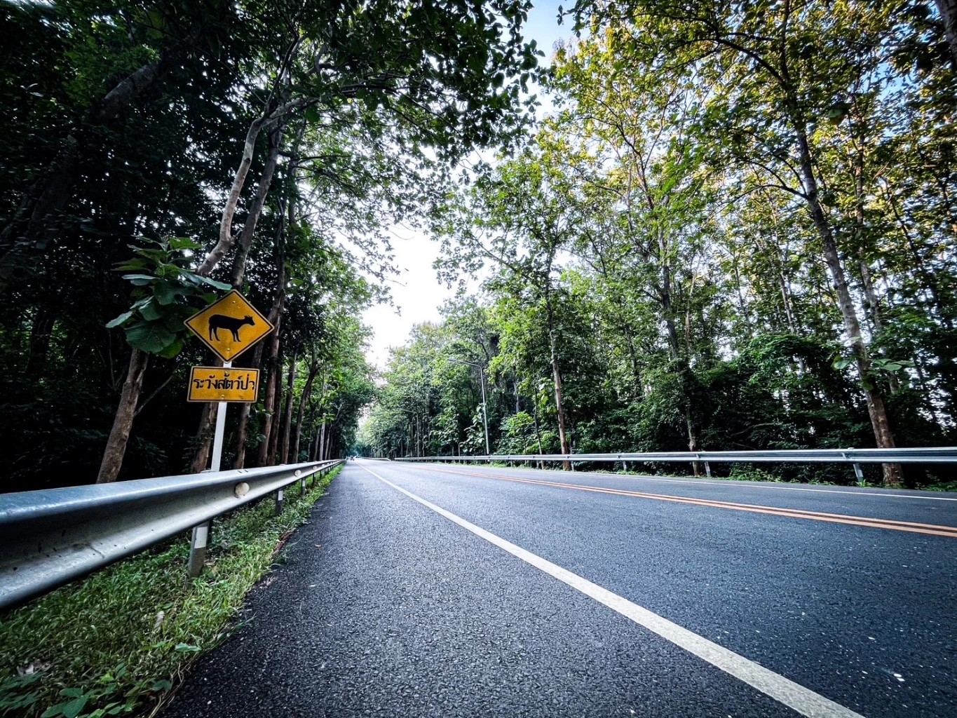 'หุบป่าตาด' Unseen อุทัยธานี ป่าดึกดำบรรพ์ เขาหินปูนอายุล้านปี