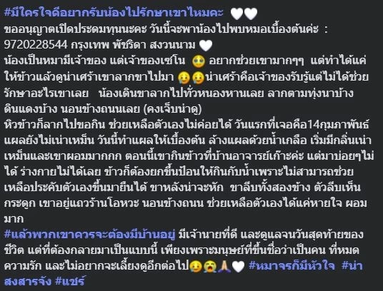 สงสารจับใจ "เจ้าลัคกี้" สุนัขถูกรถชน สู้ชีวิต เดินลากขา ไปขอข้าวชาวบ้านกิน