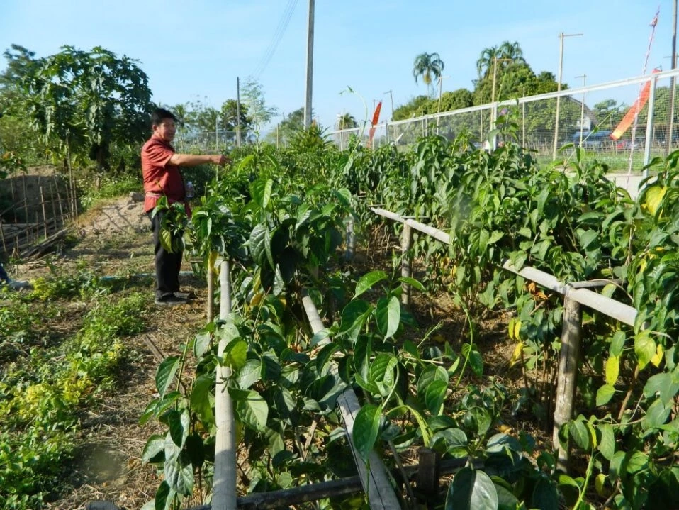 "ธนาคารที่ดิน" ใช้งบคุ้มค่า ช่วยเหลือเกษตรกร-ผู้ยากจน