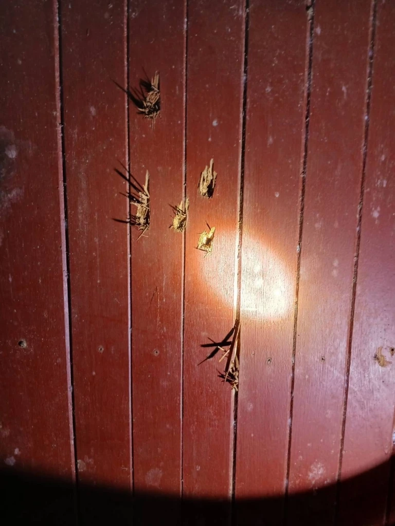 หักยาเดือด! จับมือยิงถล่มบ้านพัก ลูกหลงคร่าปู่วัย 82 เปิดแผนประทุษกรรม