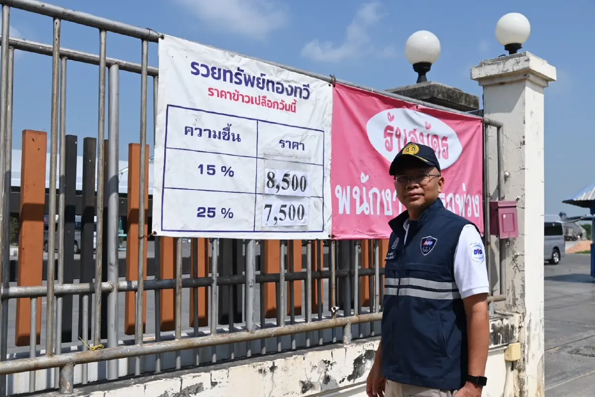 พาณิชย์คุมเข้มรับซื้อข้าวเปลือกนาปรัง สกัดฉวยโอกาสกดราคา