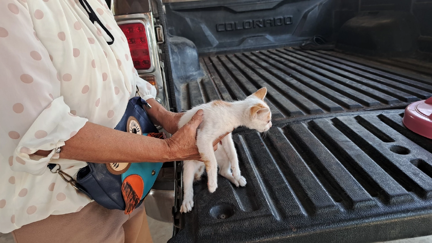 ประกาศเขตโรคระบาดชั่วคราว หลังพบโคเนื้อตายด้วยโรคพิษสุนัขบ้า