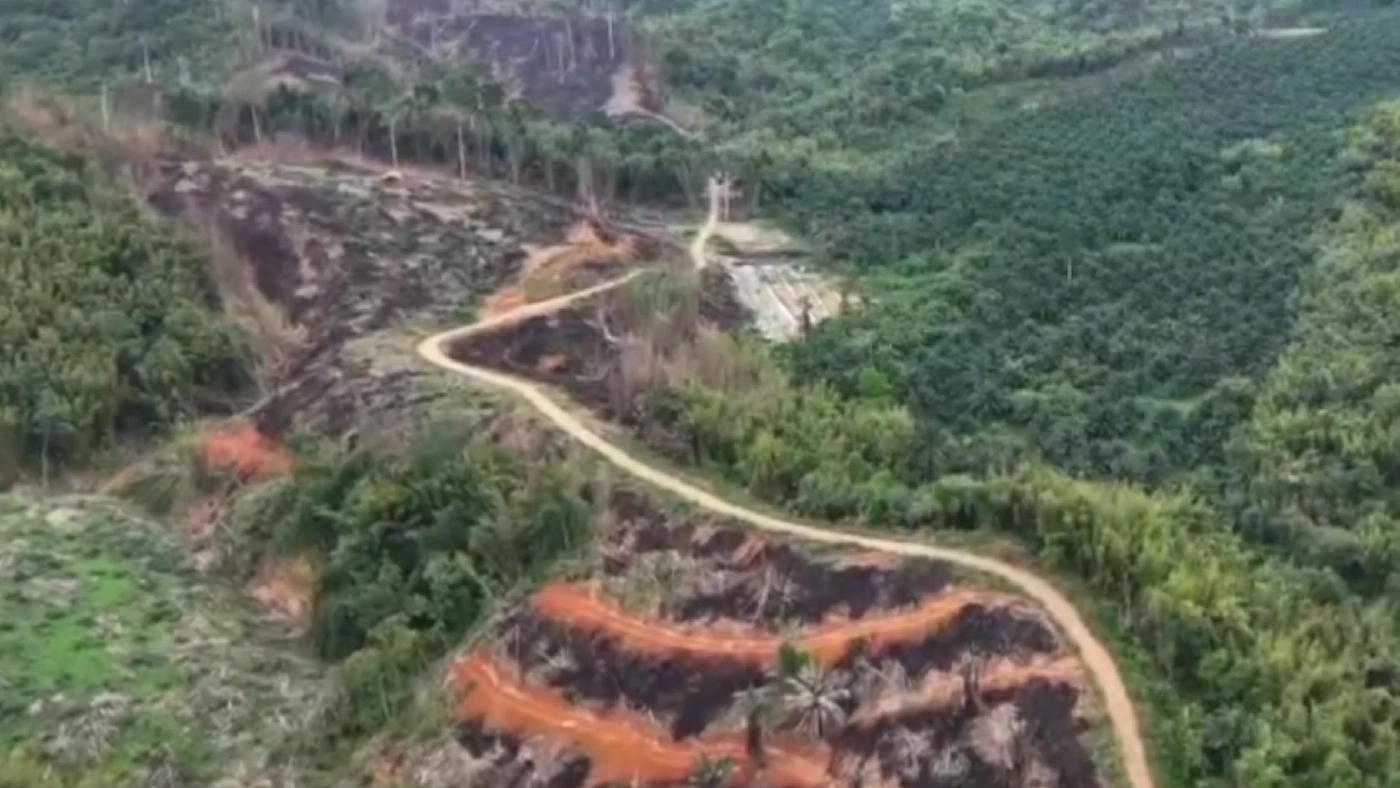 กองทัพภาค 4 เดินหน้าปราบไทยเทา ปิดซีลชายแดนไทย-เมียนมา