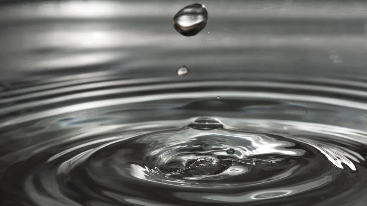 ภาพโดย Claudia จาก Pixabay