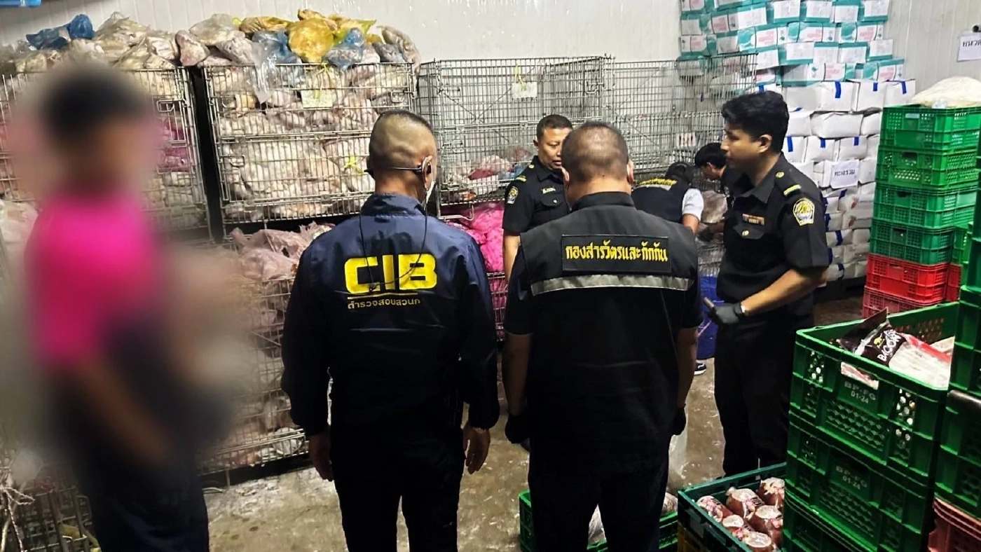 อ้วกแทบพุ่ง! "กวาดล้างหมูเถื่อน" กลางตลาดไท ยึดซากหมูเน่า 5 ตัน