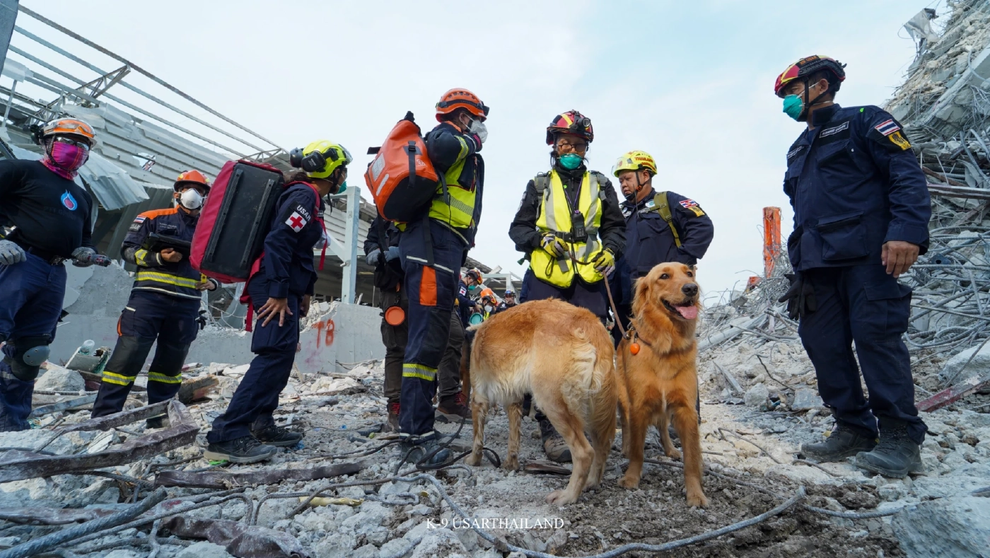 ขอบคุณภาพ : K9 USAR THAILAND