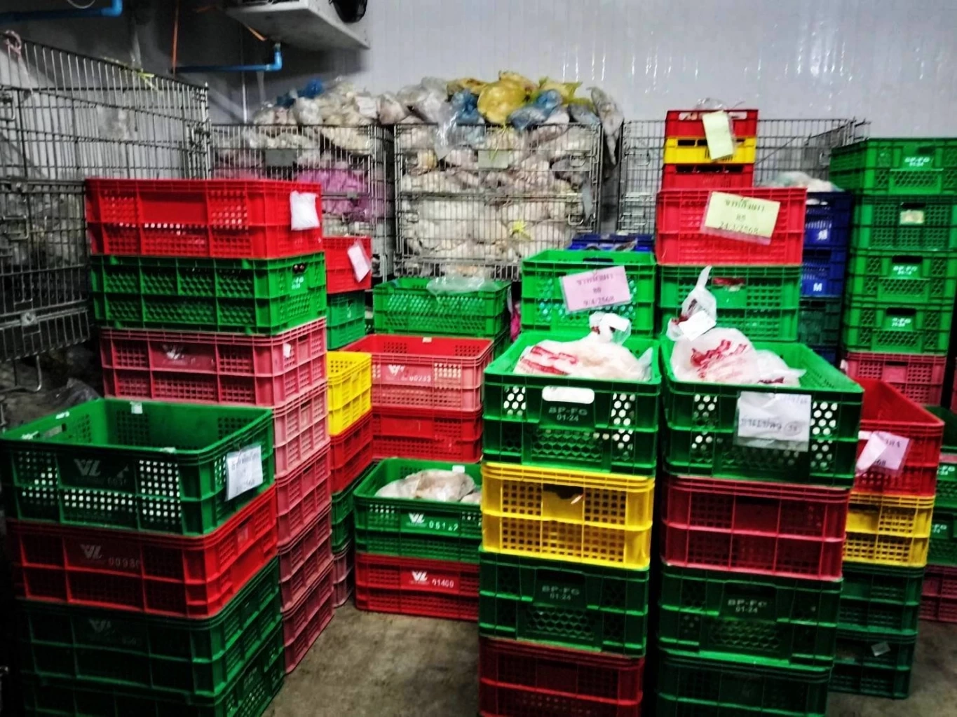 อ้วกแทบพุ่ง! "กวาดล้างหมูเถื่อน" กลางตลาดไท ยึดซากหมูเน่า 5 ตัน