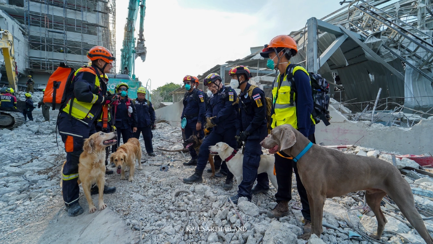 ขอบคุณภาพ : K9 USAR THAILAND