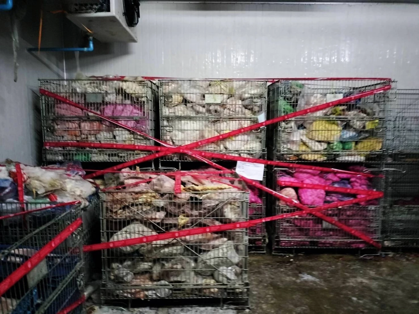 อ้วกแทบพุ่ง! "กวาดล้างหมูเถื่อน" กลางตลาดไท ยึดซากหมูเน่า 5 ตัน