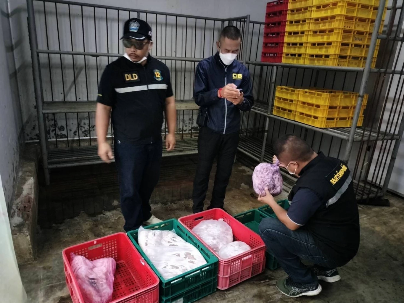 อ้วกแทบพุ่ง! "กวาดล้างหมูเถื่อน" กลางตลาดไท ยึดซากหมูเน่า 5 ตัน