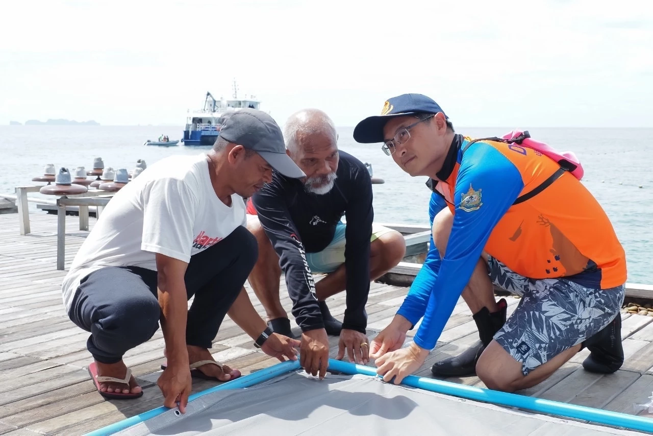 "ปะการังไทย"พ้นวิกฤต! ฟื้นตัวกว่า 60% เดินหน้าปลูกเพิ่ม 24 ไร่