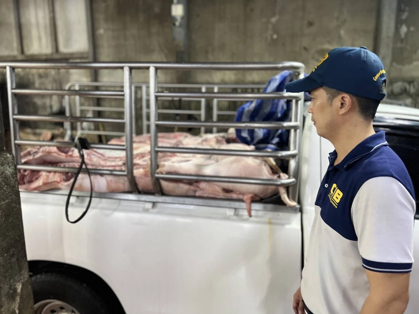 ปทส.ร่วมปศุสัตว์ เปิดปฎิบัติการ ล่า! "หมูเถื่อน" ยึดซาก 1.8 ตัน