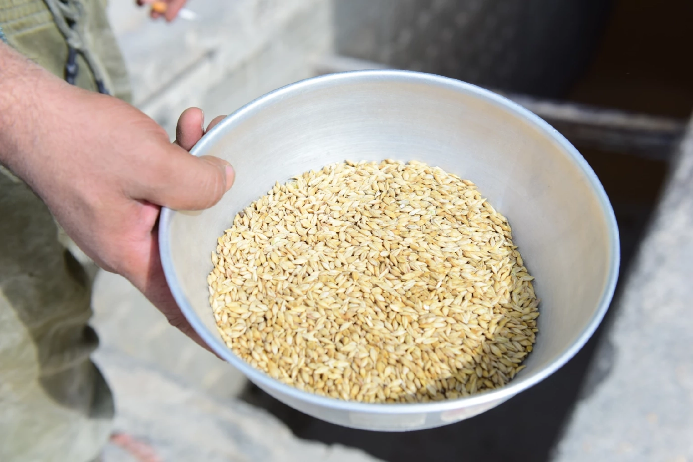 ข่าวดี ซาอุดีอาระเบียสั่งมันสำปะหลังไทยล็อตแรก 2 หมื่นตัน