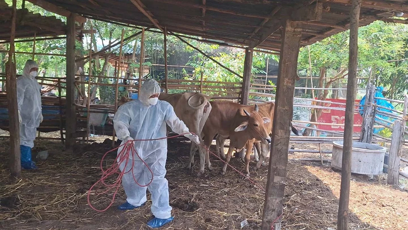 “สมศักดิ์” สั่งเฝ้าระวังโรค “แอนแทรกซ์” เข้มข้น จนกว่าจะคลี่คลาย