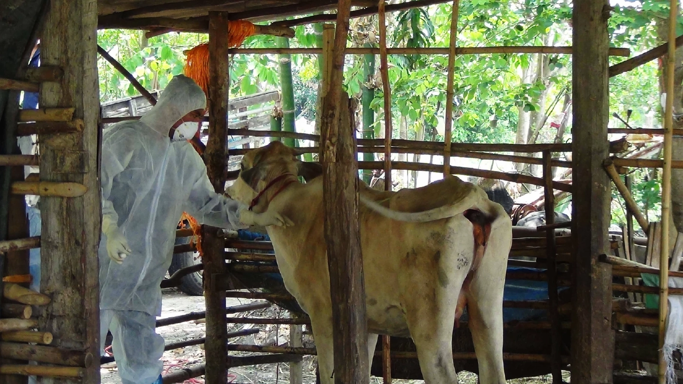 "สสจ.มุกดาหาร" ประกาศชื่นชม "หมอหนุ่ม" วินิจฉัย "โรคแอนแทรกซ์" แม่นยำก่อนลุกลาม