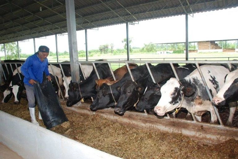 กษ.เร่งให้ อ.ส.ค.รับซื้อช่วยเหลือเกษตรกรผู้เลี้ยงโคนม