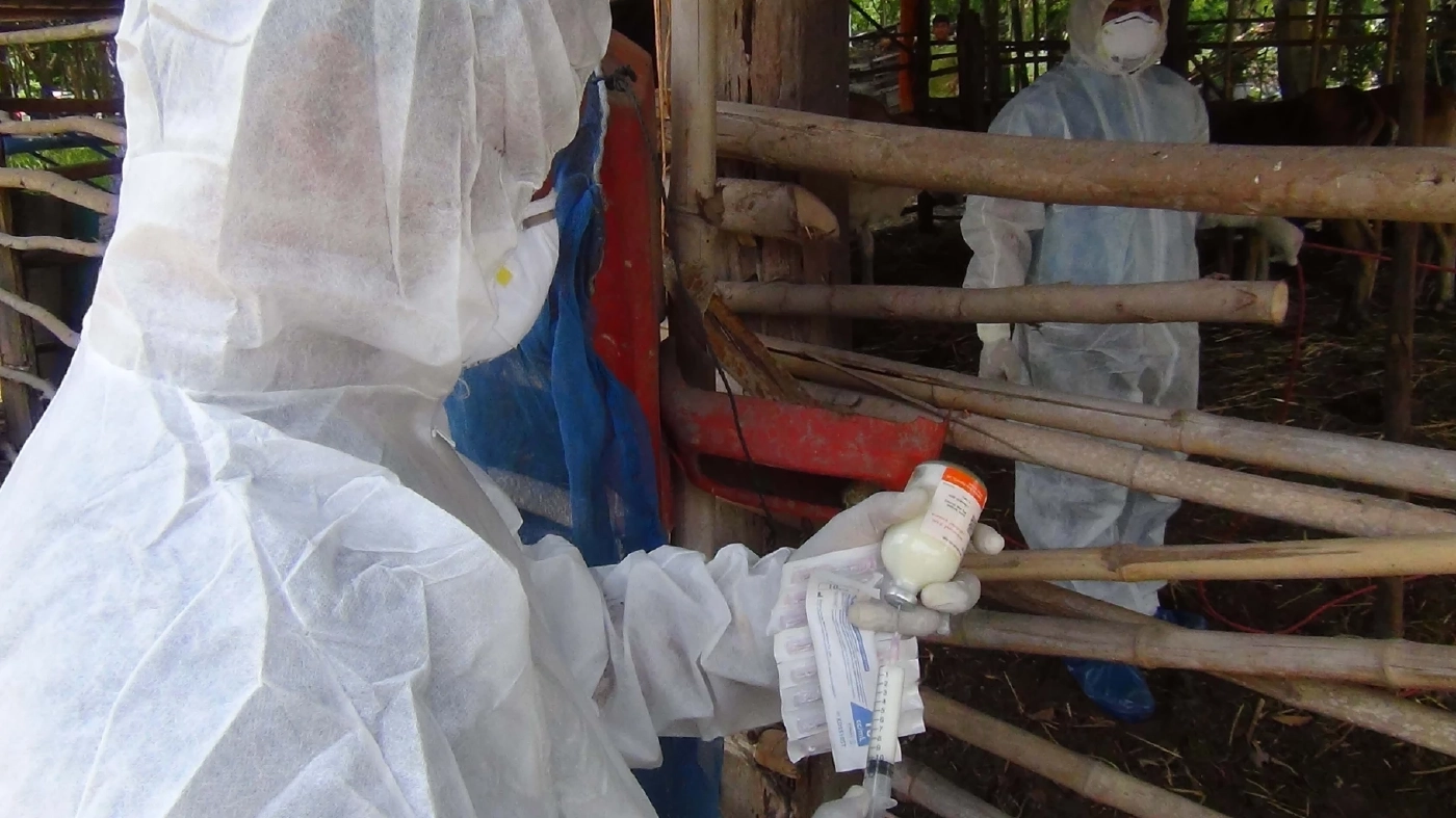 โรคแอนแทรกซ์ ใกล้ตัวเกษตรกร เกิดจากอะไร การติดต่อ การป้องกัน