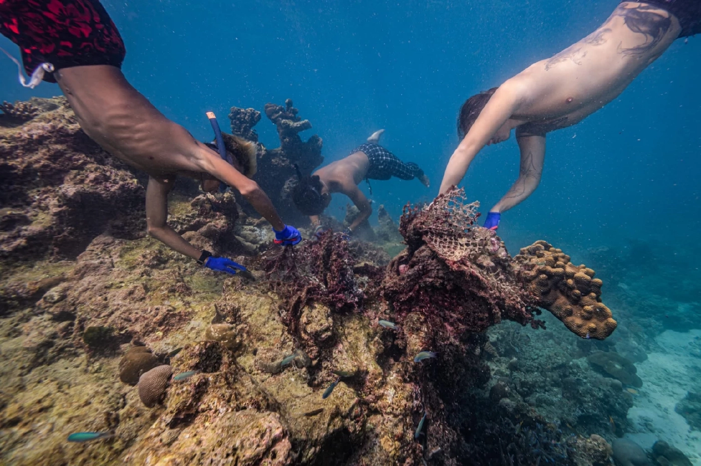 “ทราย สก๊อต” เล่าสาเหตุไม่อยากกลับไปหมู่เกาะสุรินทร์อีก