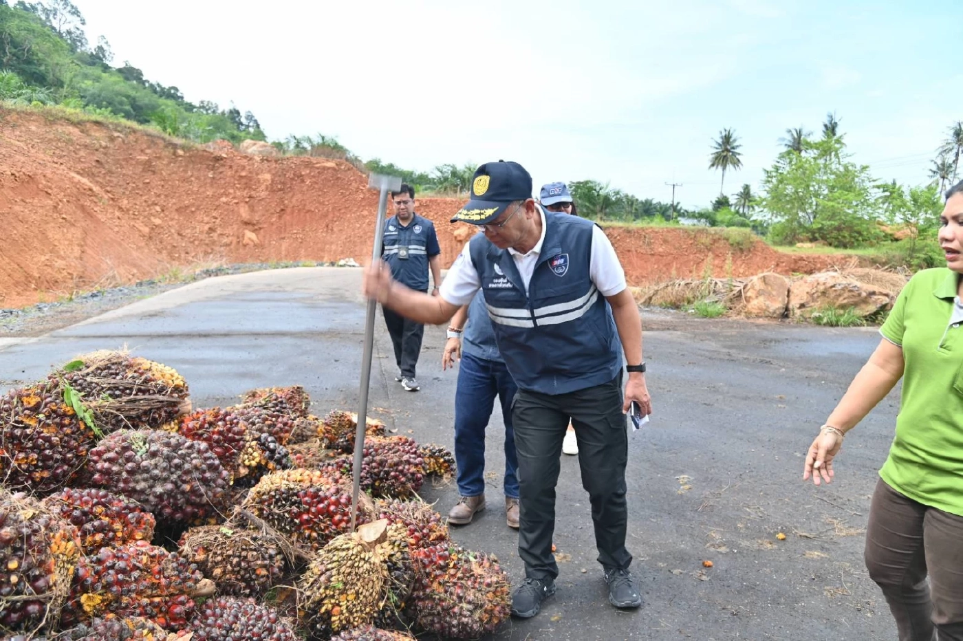 พาณิชย์คุมเข้มจุดรับซื้อปาล์ม 8 จังหวัดใต้ ดันราคาช่วยเกษตรกร