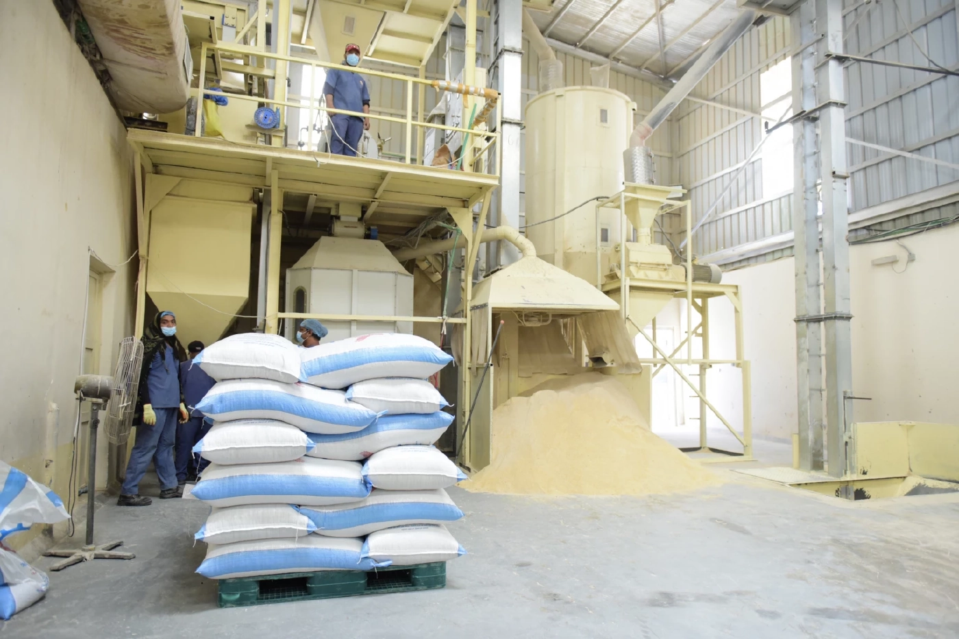 ข่าวดี ซาอุดีอาระเบียสั่งมันสำปะหลังไทยล็อตแรก 2 หมื่นตัน