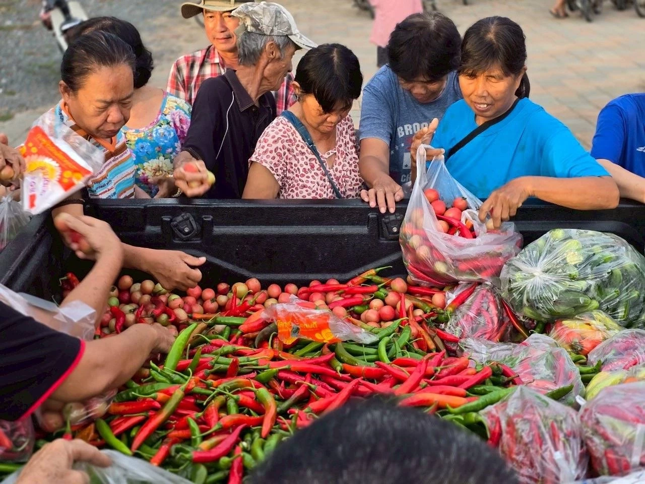 พระครูอ๊อด เหมาซื้อพริกชาวสวน “อมก๋อย” หลังราคาตกต่ำสุดรอบ 10 ปี