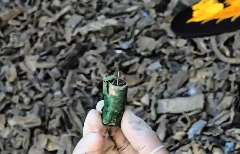 "เอกนัฏ" ส่ง "ทีมสุดซอย" สาวถึงต้นตอ บริษัทจีนลอบนำเข้า "ขยะอิเล็กทรอนิกส์" อันตราย