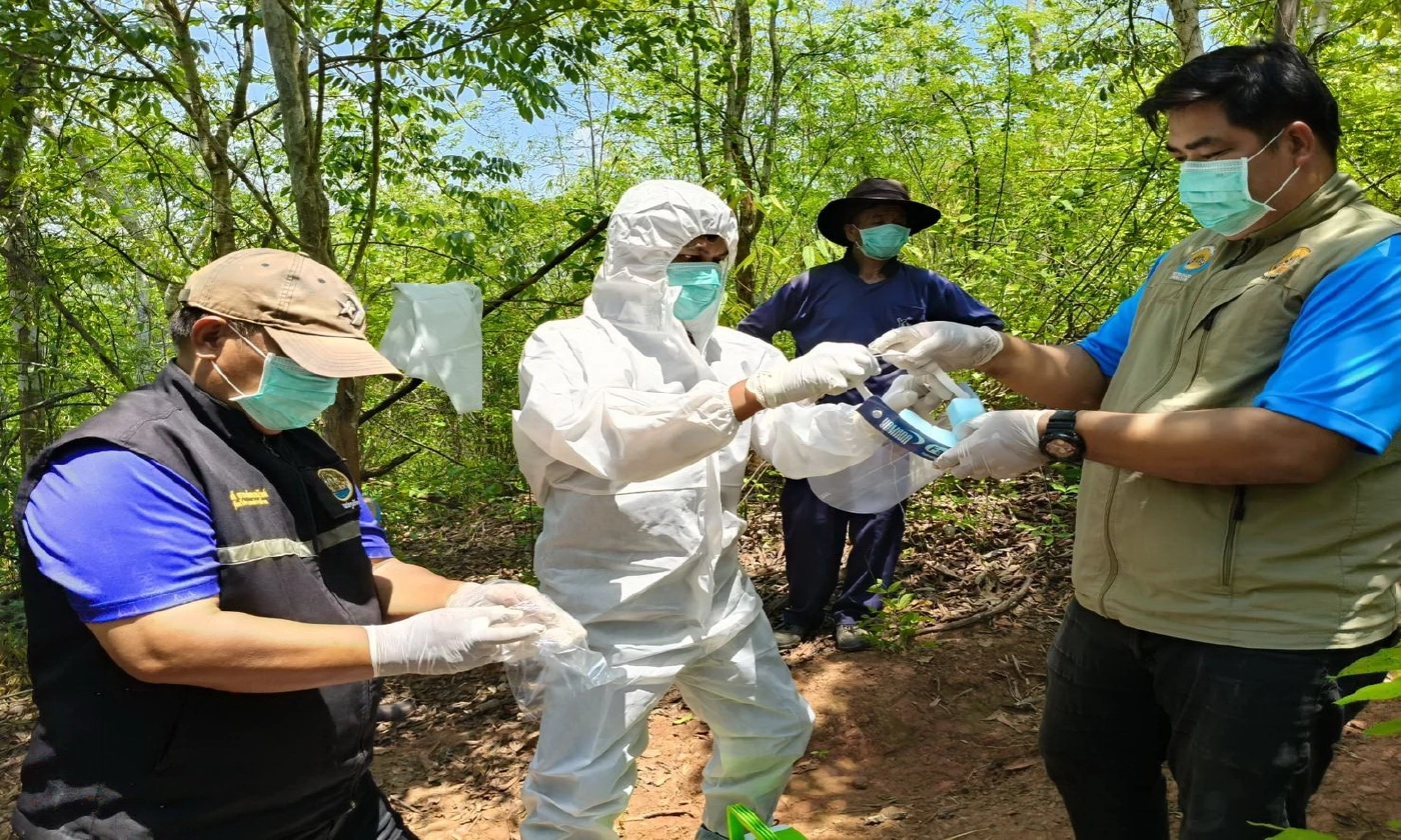 อัปเดตสถานการณ์ "โรคแอนแทรกซ์" มุกดาหาร พบกลุ่มเสี่ยง 638 ราย