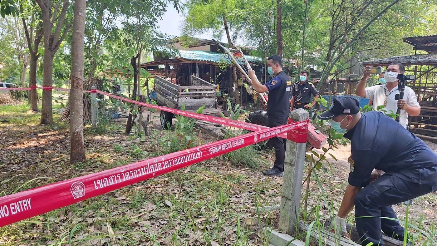 โรคแอนแทรกซ์ ใกล้ตัวเกษตรกร เกิดจากอะไร การติดต่อ การป้องกัน