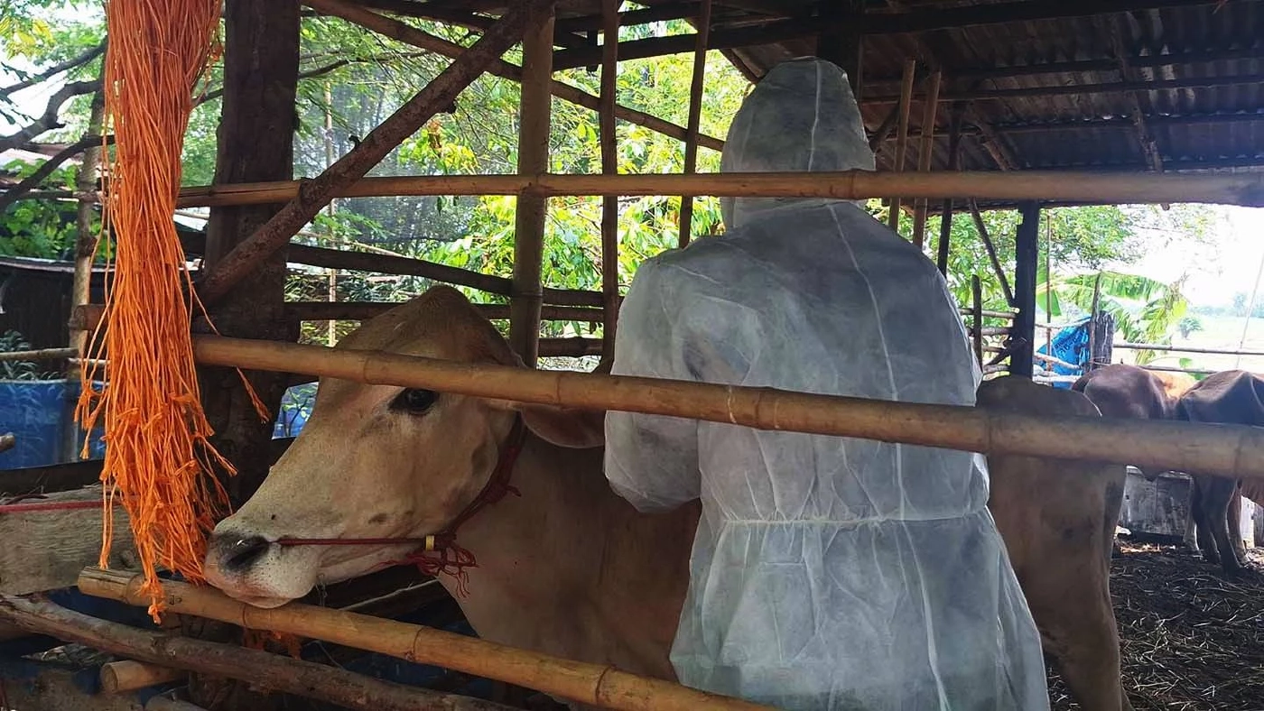 "สสจ.มุกดาหาร" ประกาศชื่นชม "หมอหนุ่ม" วินิจฉัย "โรคแอนแทรกซ์" แม่นยำก่อนลุกลาม