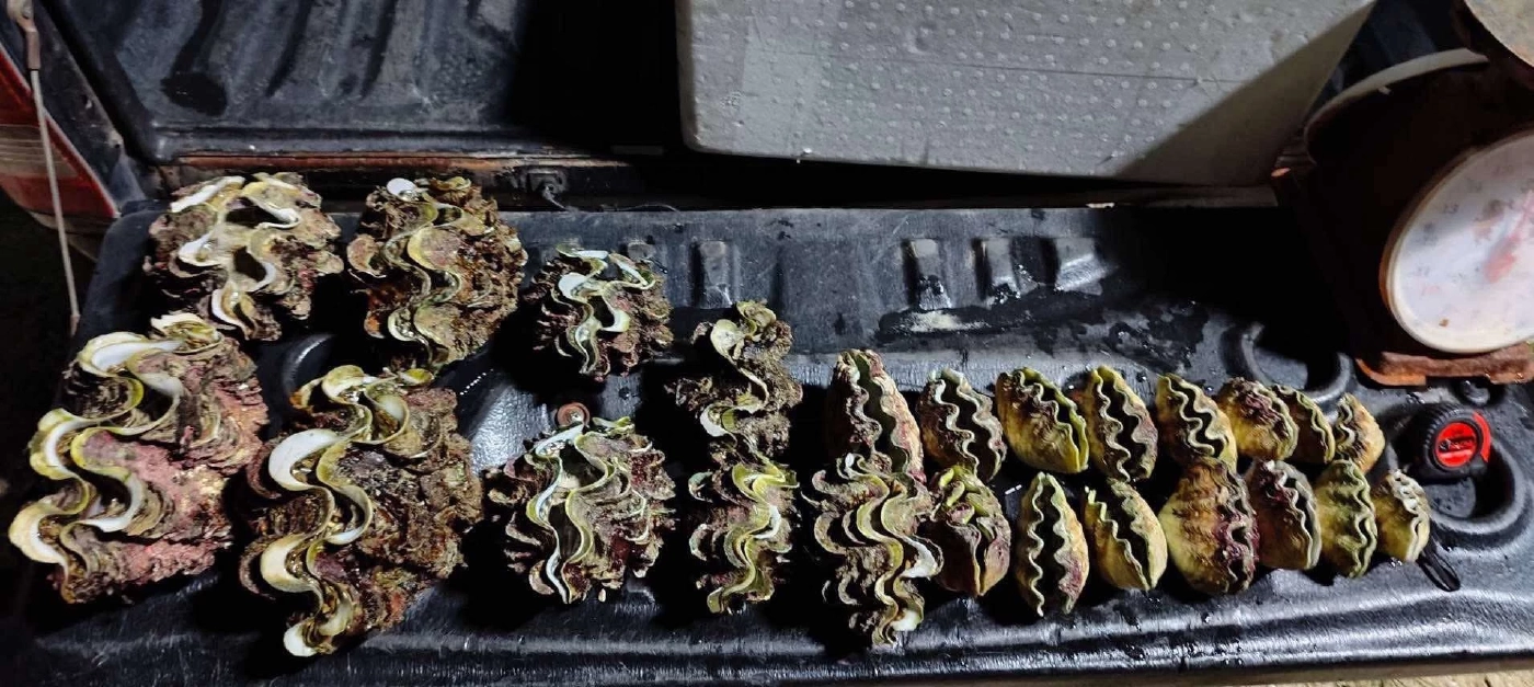 จับ 2 เมียนมา ลอบจับหอยมือเสือ ชาวบ้านเดือด ห่วงใกล้สูญพันธุ์