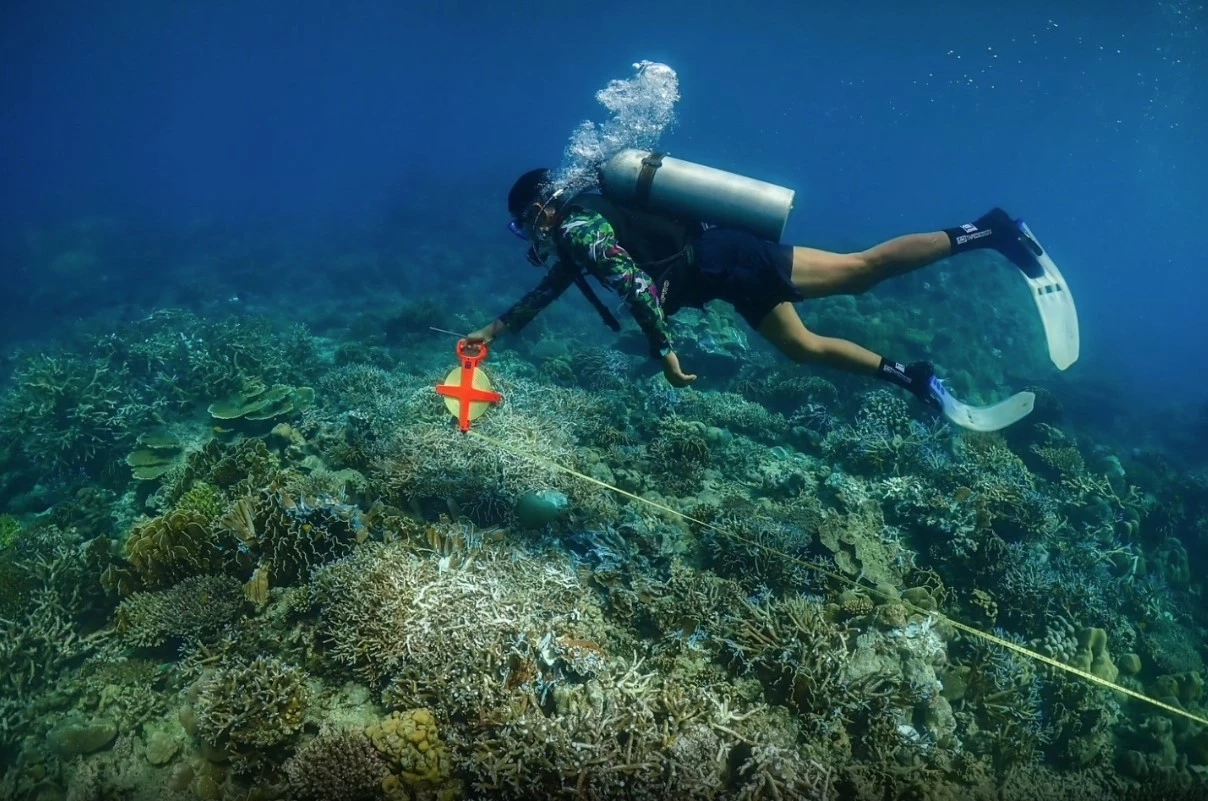 เปิดภาพแนวปะการังหมู่เกาะสุรินทร์ ยับเยิน หลังเรือสินค้า "เมียนมา" เกยตื้นทับ