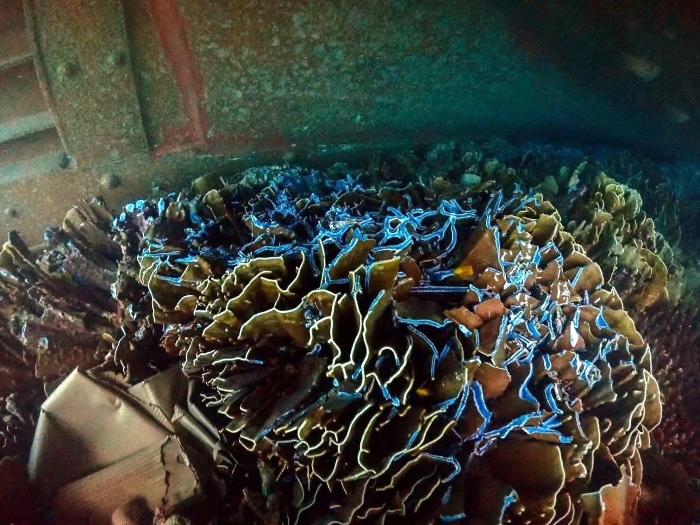 เปิดภาพแนวปะการังหมู่เกาะสุรินทร์ ยับเยิน หลังเรือสินค้า "เมียนมา" เกยตื้นทับ