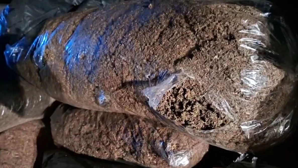 ทหารพรานตรวจยึด กัญ (ชา) แห้ง ซุกในสวนทุเรียน 620 กระสอบ