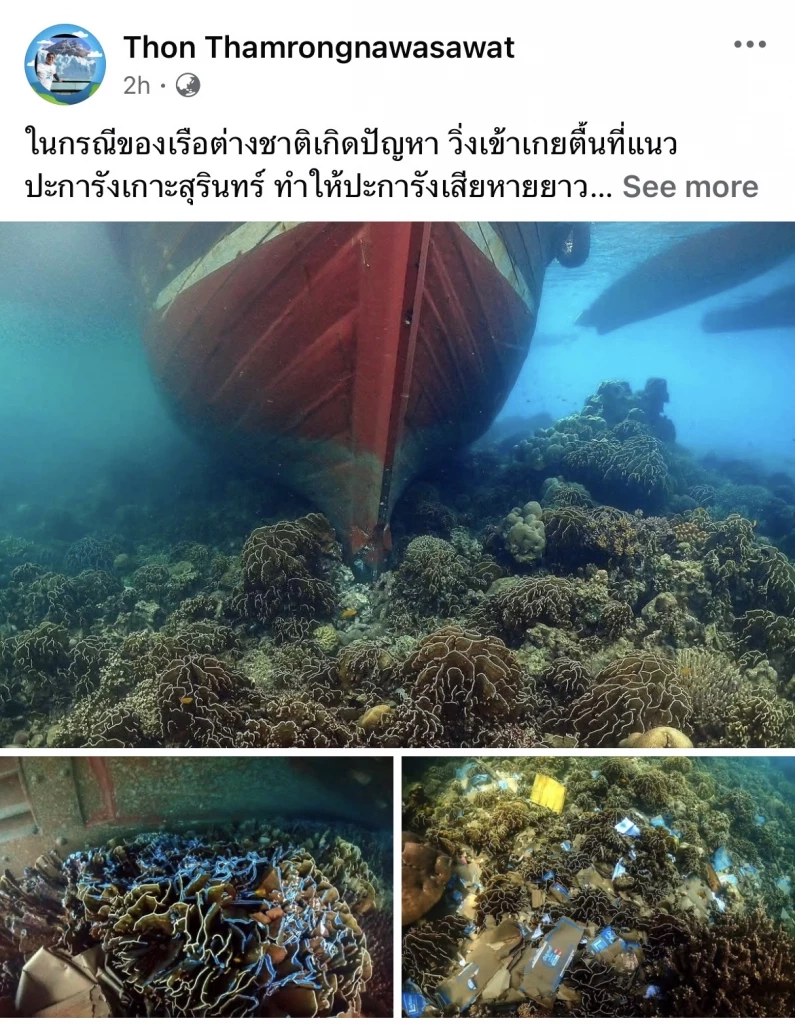ทำความรู้จัก "ปะการังสีน้ำเงิน" สัตว์ดึกดำบรรพ์ที่ยังคงมีชีวิต
