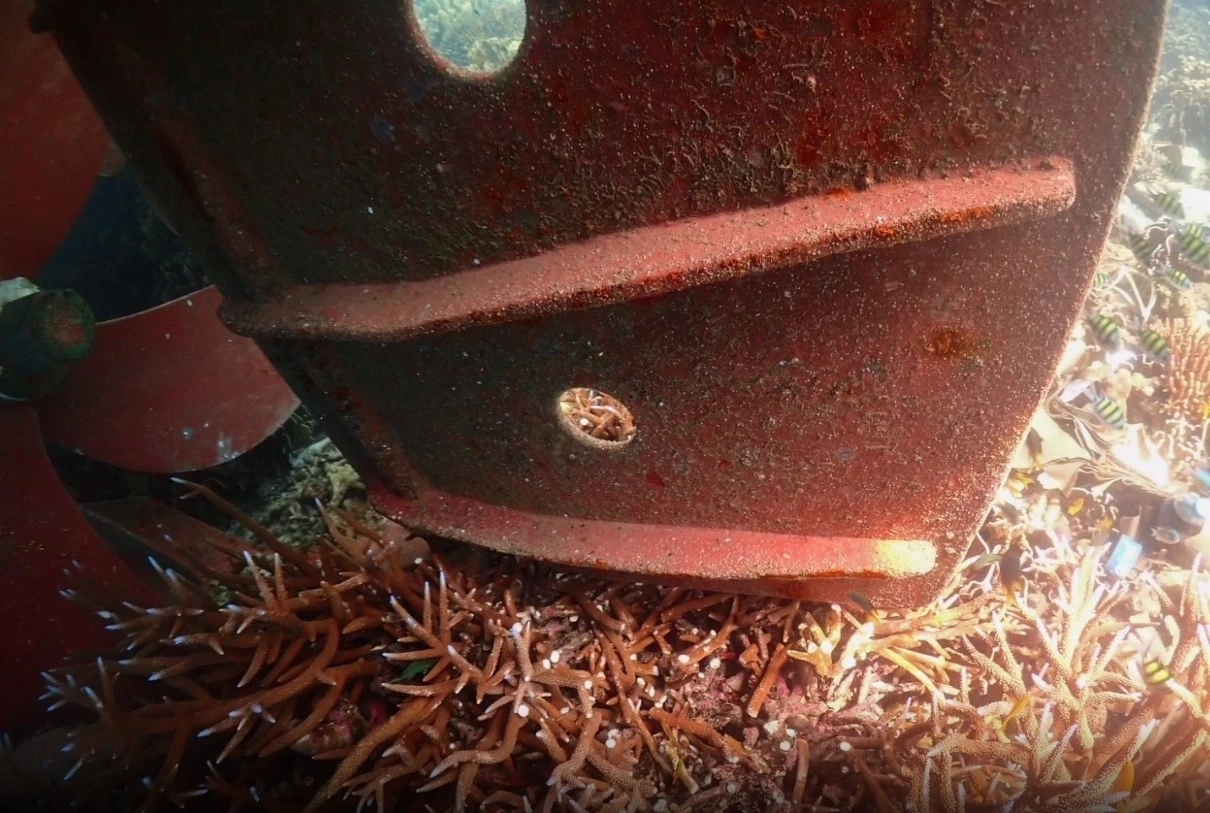 เปิดภาพแนวปะการังหมู่เกาะสุรินทร์ ยับเยิน หลังเรือสินค้า "เมียนมา" เกยตื้นทับ