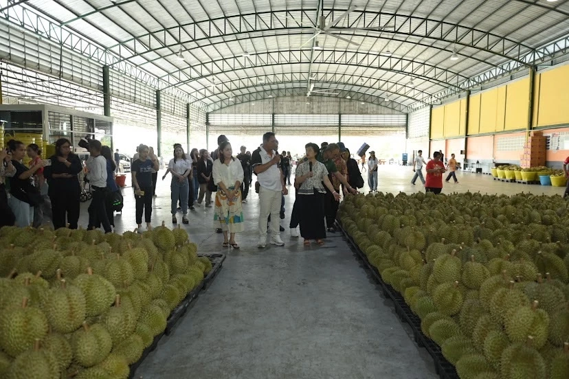 กรมส่งเสริมการค้าระหว่างประเทศ ลุยปั้นผลไม้ไทยไปเวทีโลก