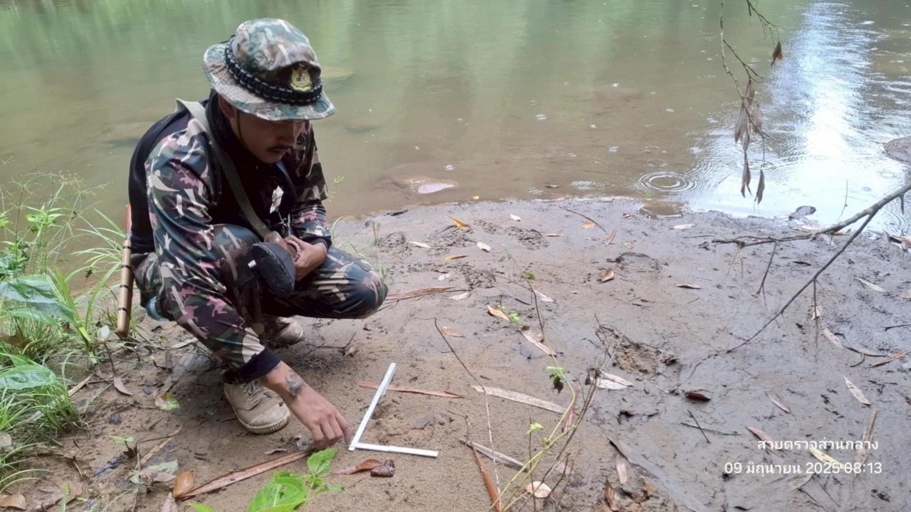 ข่าวดีจากป่ามรดกโลก! พบ "เป็ดคับแค" ครั้งแรกในอุทยานฯแก่งกระจาน