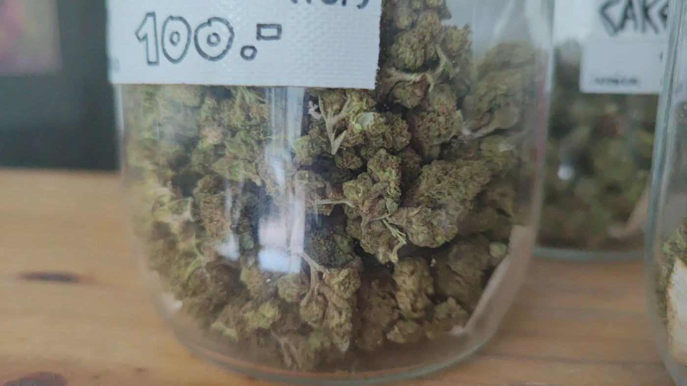 เจ้าของร้านกัญชา โอด หากรัฐบาลนำกัญชากลับเข้าบัญชียาเสพติด